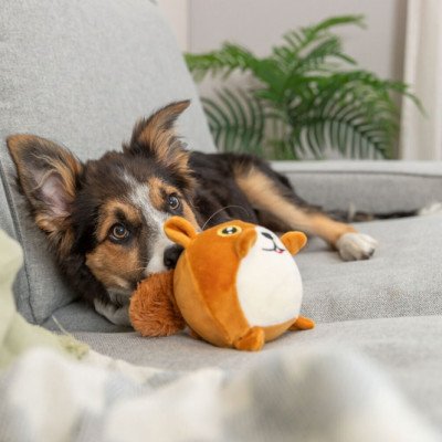 Trixie Eichhörnchen mit Memory-Effekt - 13 cm