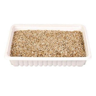 Trixie Katzengras-Schale, ca. 100 g