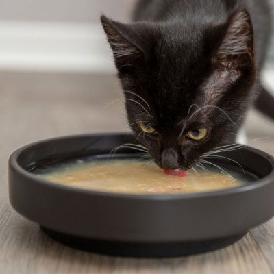 Trixie Kittis Shrimp Soup - 4 × 80 g