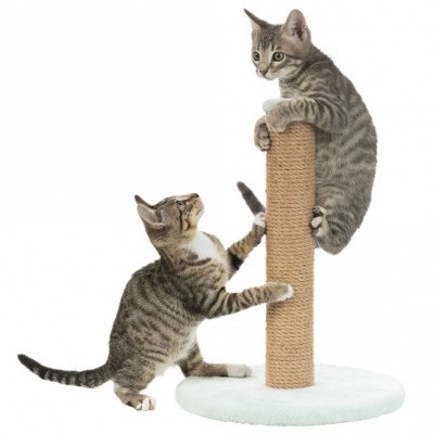 Trixie Junior Kratzstamm