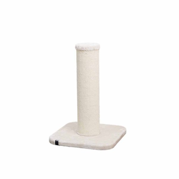 EBI Kratzstamm London