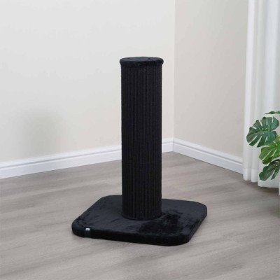 EBI Kratzstamm London - Creme