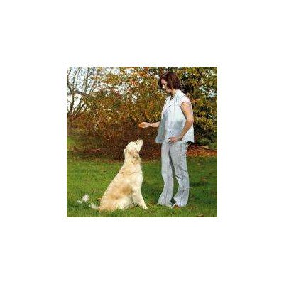 Karlie Doppelclicker