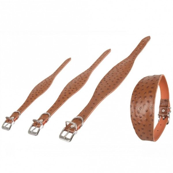 Karlie Windhund-Halsband Ventus Braun/Gelb