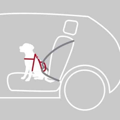 Trixie Auto-Sicherheitsgeschirr Dog Protect