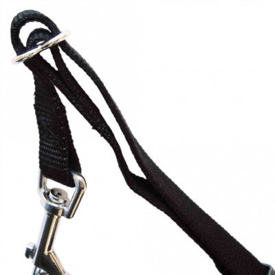 Trixie Auto-Sicherheitsgeschirr