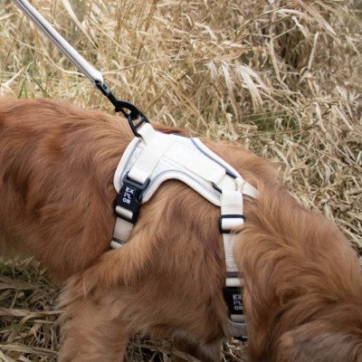 Duvoplus EXPLOR Ultimate Fit No-Pull-Geschirr - antique white