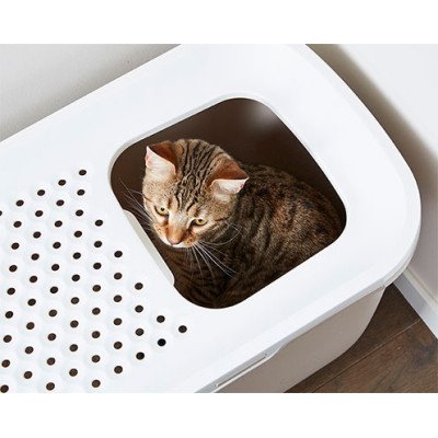 Savic Katzentoilette Hop In