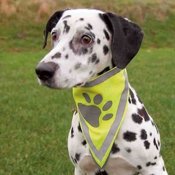 Trixie Sicherheitshalstuch