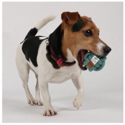 D&D Knotenball Skip - blau