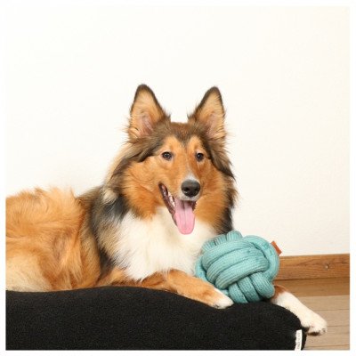 D&D Knotenball Skip - blau