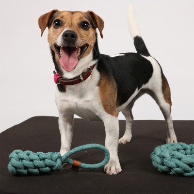 D&D Baumwollkegel Kurt - blau