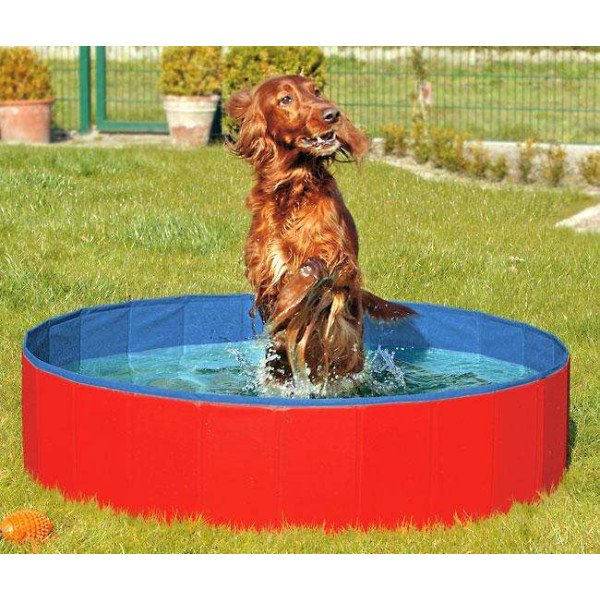 Karlie DOGGY POOL der Swimmingpool für Hunde - Rot-Blau