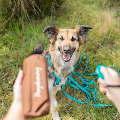 Trixie Preydummy - Canvas, Braun