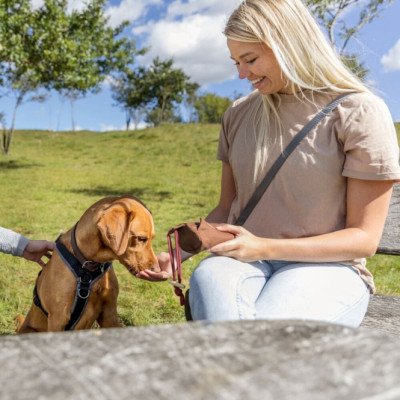 Trixie Preydummy - Canvas, Braun