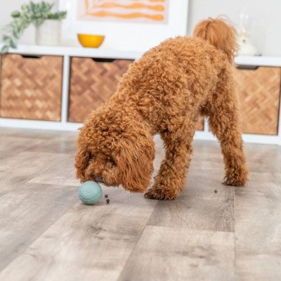 Trixie Labyrinth-Snacky Naturgummi-Snackball