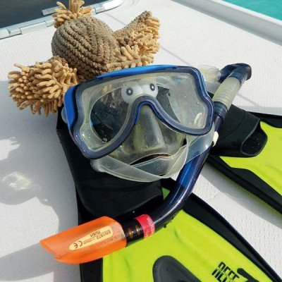 Trixie Kult-Geier Gustav