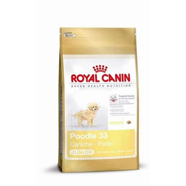Royal Canin Pudel 33 Junior