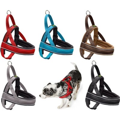 Hunter Norwegergeschirr Racing Gr. L - beige/braun