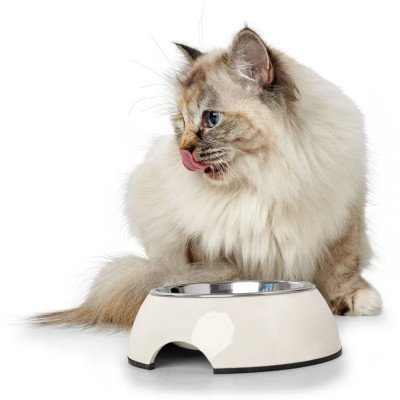 Hunter Melamin-Napf schwarz - 160 ml