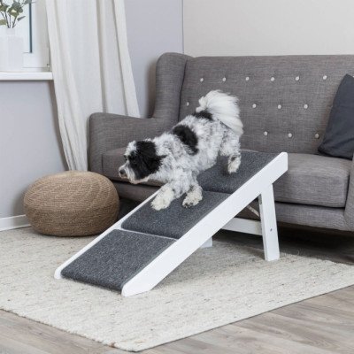 Trixie Rampe mit ausklappbaren Stufen