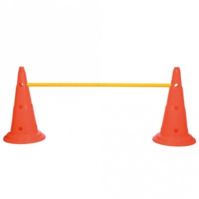 Trixie Pylonen-Hindernis 2er Set - ø 30 × 50 cm/100 cm