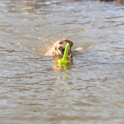 Trixie Aqua Toy MOT®-Aqua