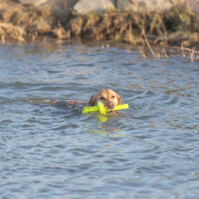 Trixie Aqua Toy MOT®-Aqua