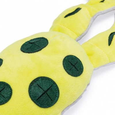 Beeztees Hide And Seek Frosch